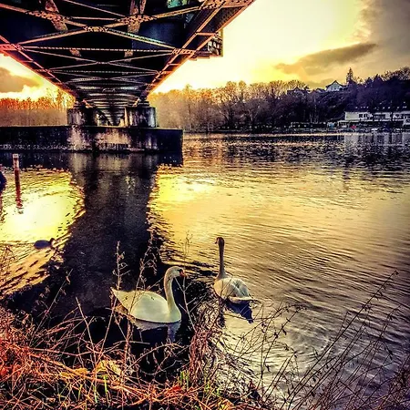 Frankes Mit Garten Und Pool, 6 Einzelbetten, Parkplatz דירה אסן