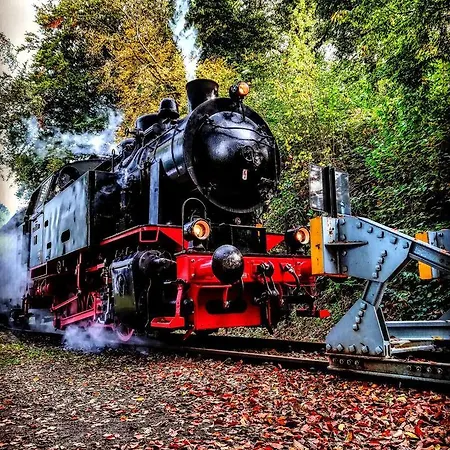 Frankes Mit Garten Und Pool, 6 Einzelbetten, Parkplatz *