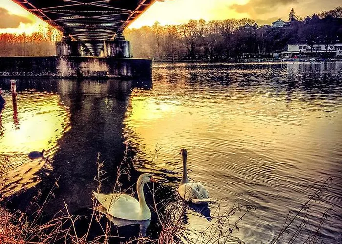 Frankes Mit Garten Und Pool, 6 Einzelbetten, Parkplatz דירה אסן